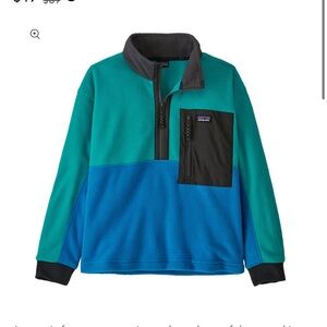Patagonia kids half-zip microdini fleece pullover - NEW - size small